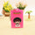 GOT7 K-POP Bus Card Id Card Sets Entrance Guard Card Sets Hang